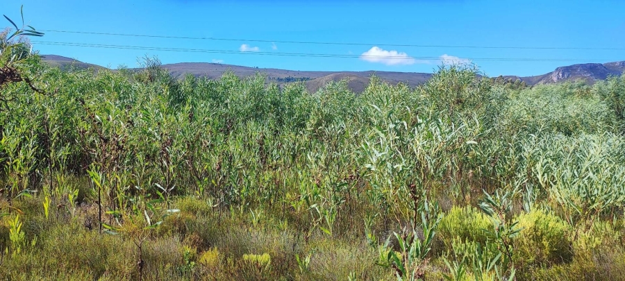 0 Bedroom Property for Sale in Franskraal Western Cape